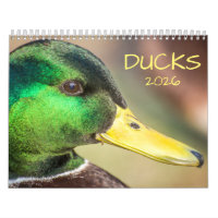 Duck Photography 2026