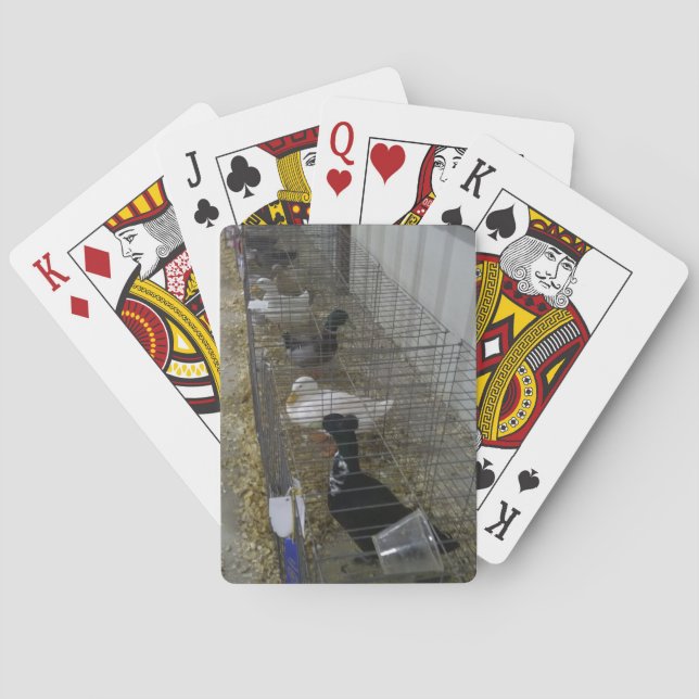 Duck Playing Cards (Back)