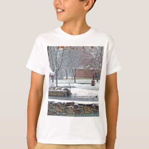 Duck Pond at Ste. Marie Du Lac T-Shirt