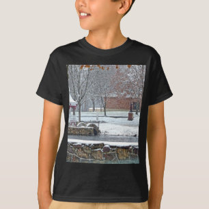 Duck Pond at Ste. Marie Du Lac T-Shirt
