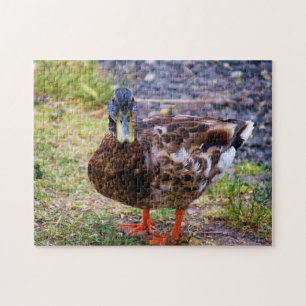 Duck Pose Puzzle