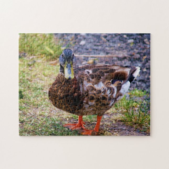 Duck Pose Puzzle (Horizontal)