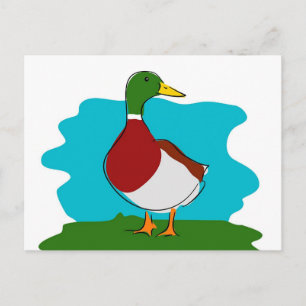 Duck Postcard
