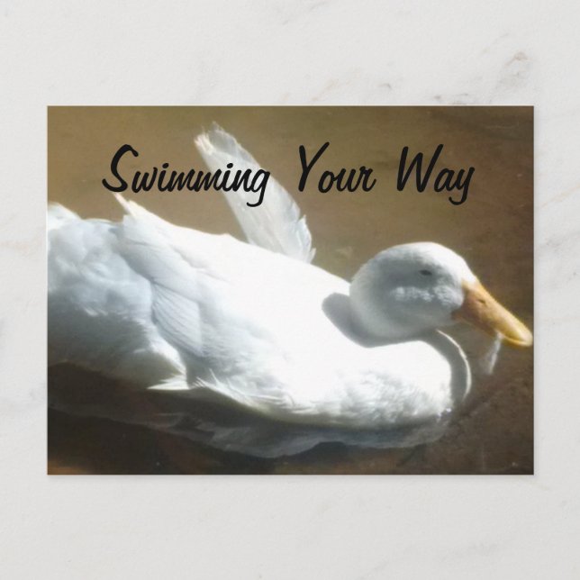 Duck Postcard (Front)