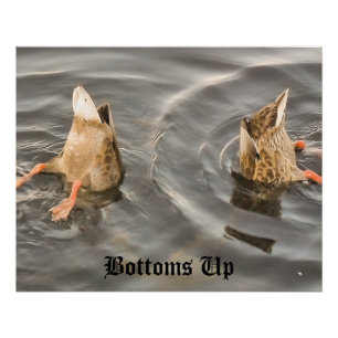 Duck Poster