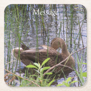 Duck Preening in the Reeds Square Paper Coaster