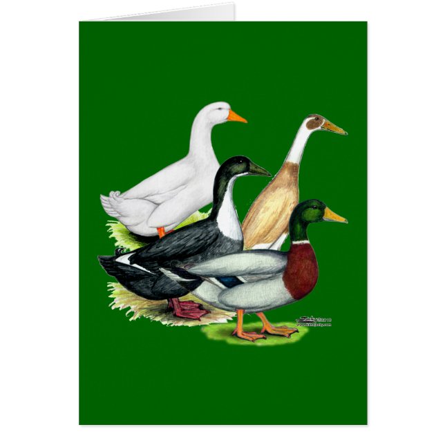 Duck Quartet (Front)