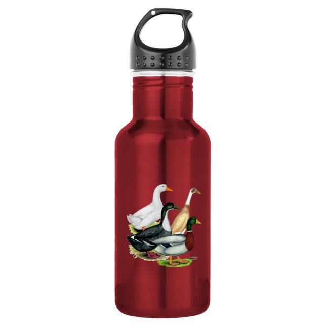 Duck Quartet 532 Ml Water Bottle (Front)