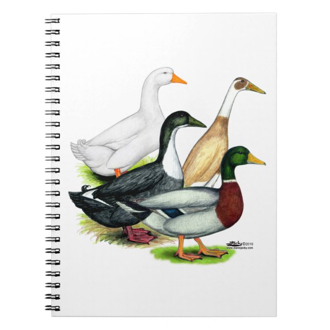 Duck Quartet Notebook (Front)