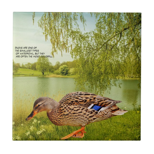 DUCK QUOTE   CERAMIC TILE (Front)