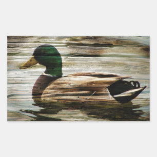 Duck Rectangular Sticker