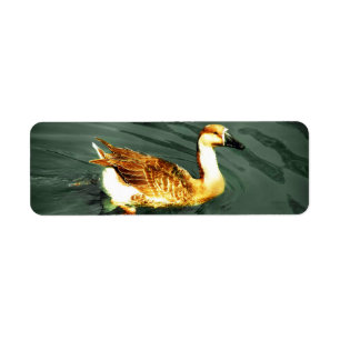 Duck Return Address Label