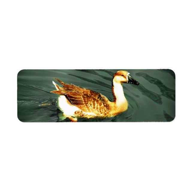 Duck Return Address Label (Front)