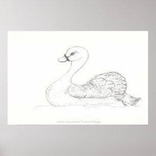 Duck Sketch Poster