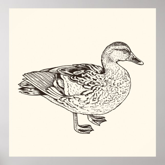 Duck Sketch Poster (Front)