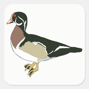 Duck Square Sticker