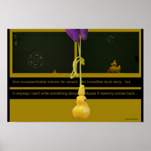 Duck Story ou une invraisemblable histoire Poster