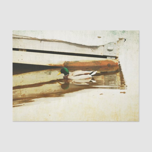 Duck Tissue Paper (Front)