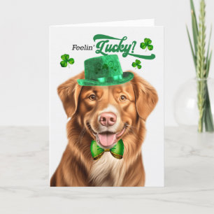 Duck Toller Dog Feelin' Lucky St Patrick's Day Holiday Card