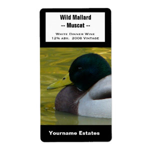 Duck Wine Label - Mallard Photo