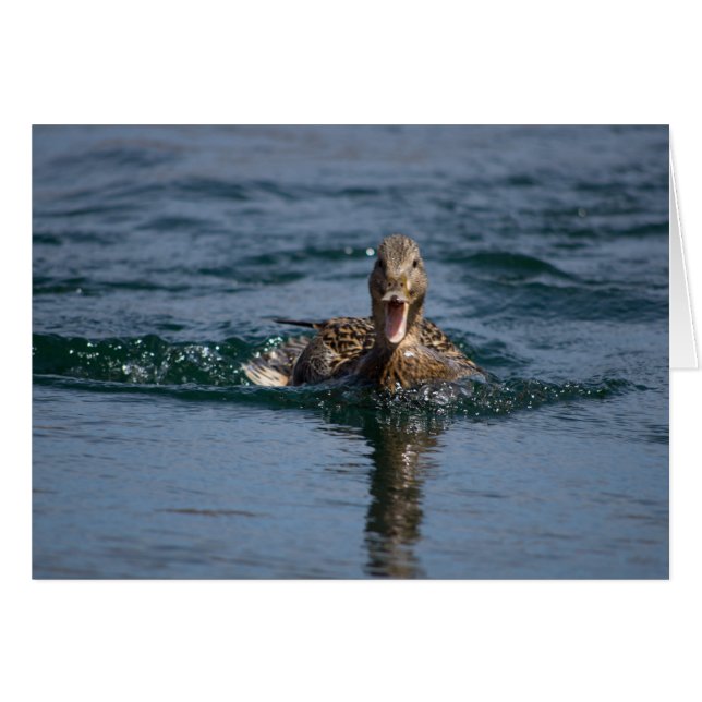 Duck with beak open (Front Horizontal)