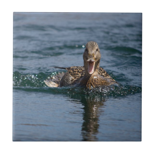 Duck with beak open             ceramic tile (Front)