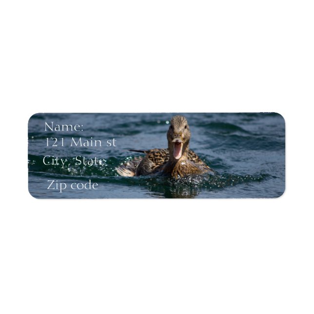 Duck with beak open return address label (Front)