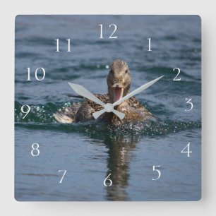 Duck with beak open square wall clock
