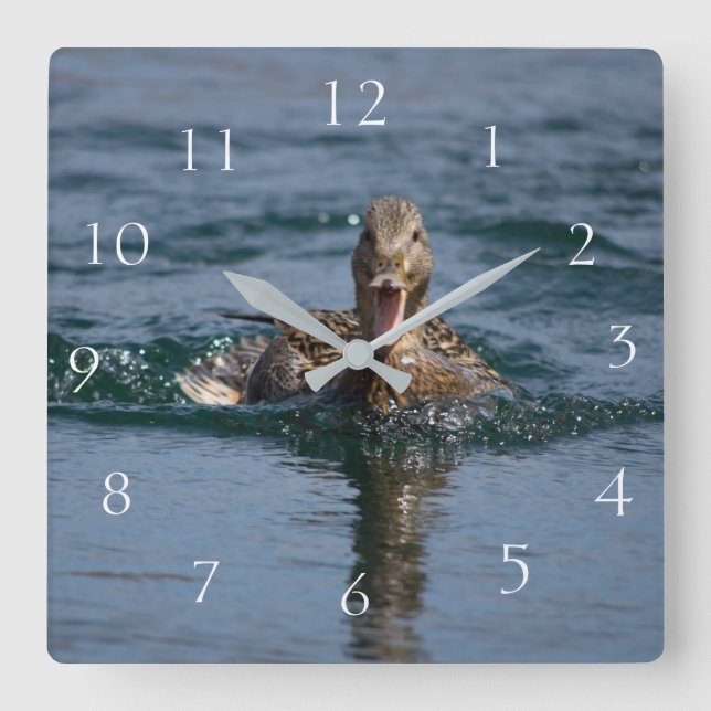 Duck with beak open square wall clock (Front)