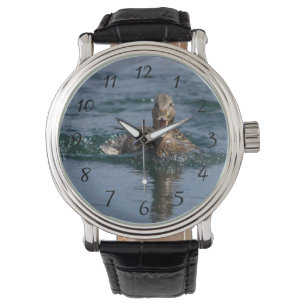 Duck with beak open watch