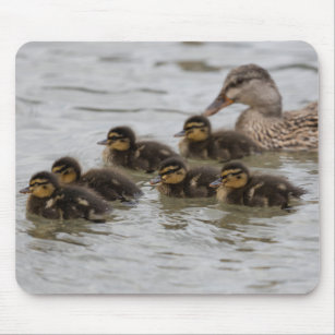 duck with her ducklings at lake mouse mat