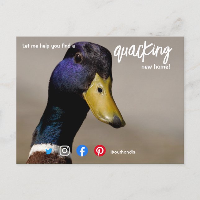 duck wonderful awesome real estate agent marketing postcard (Front)