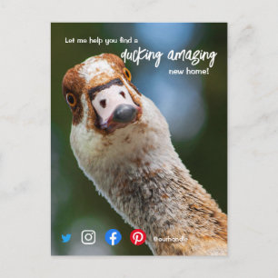 duck wonderful awesome real estate agent marketing postcard