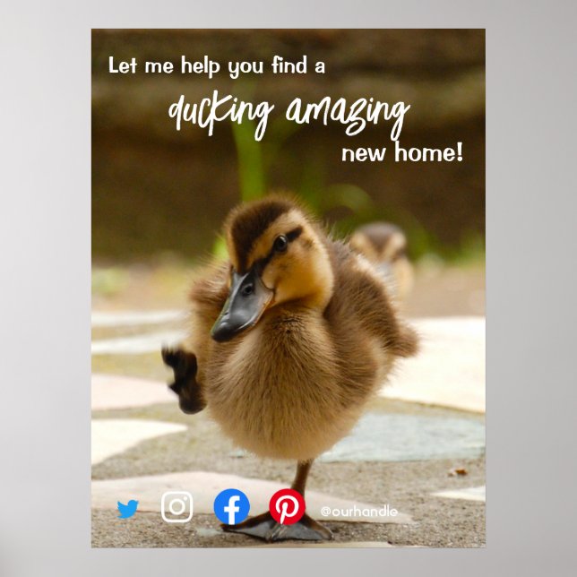 duck wonderful awesome real estate agent marketing poster (Front)
