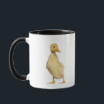 Duckling (1 week old) mug<br><div class="desc">Duckling (1 week old) | Life On White | AssetID: 120376924</div>