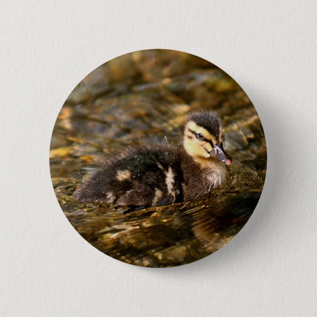 Duckling 6 Cm Round Badge (Front)