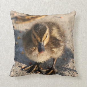 Duckling Baby Duck Bird Wildlife Animal Pillow