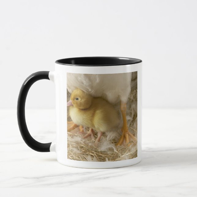 Duckling between mother's legs mug (Left)