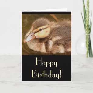 Duckling Birthday Card