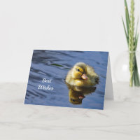 Duckling Congratulations Wedding Card