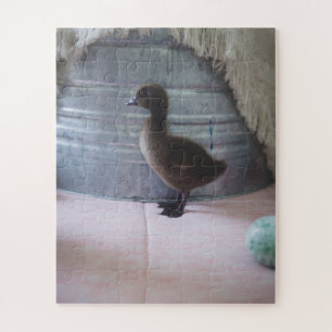 Duckling, Dark Brown Baby Duck Jigsaw Puzzle