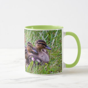 Duckling Huddle Mug