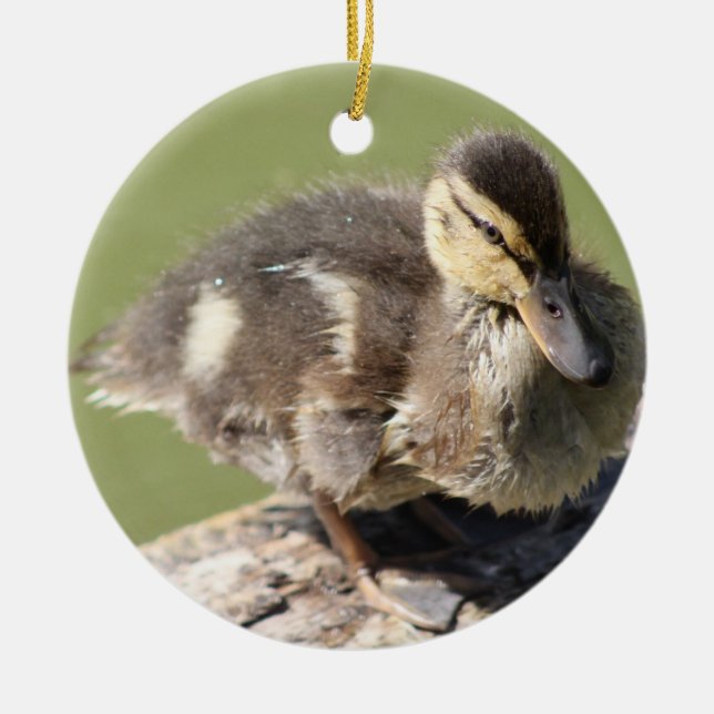 Duckling Ornament (Front)