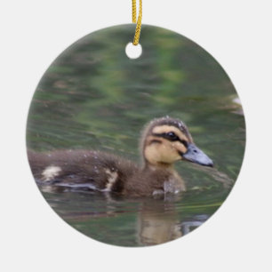 Duckling ornament