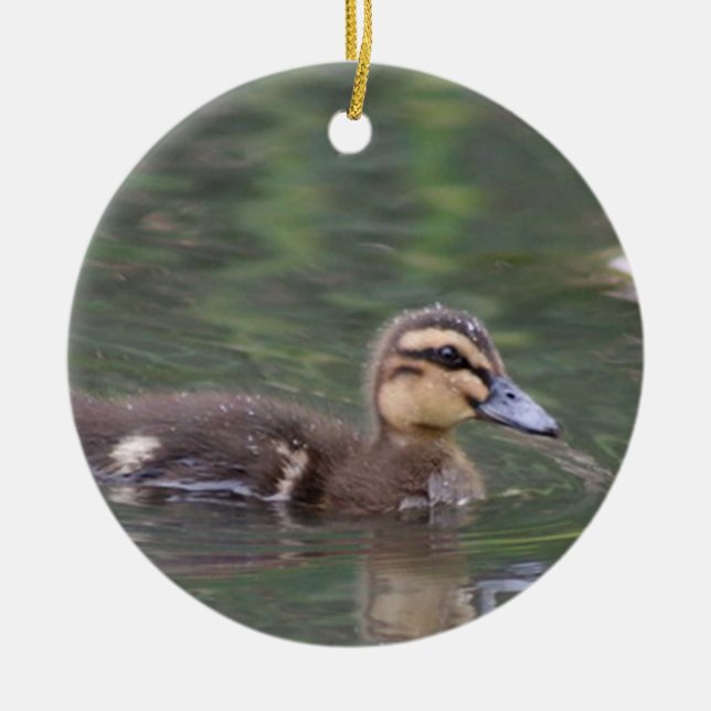 Duckling ornament (Front)