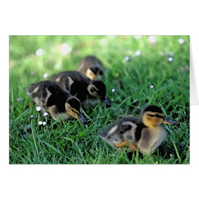 Duckling Parade (Front Horizontal)