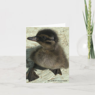 Duckling Photo Card