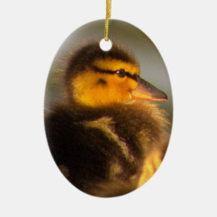 Duckling Photo Ornament 