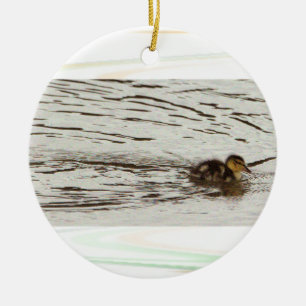 Duckling Photo Ornament