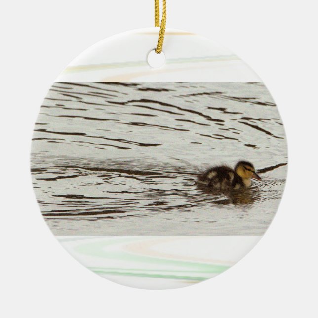 Duckling Photo Ornament (Front)